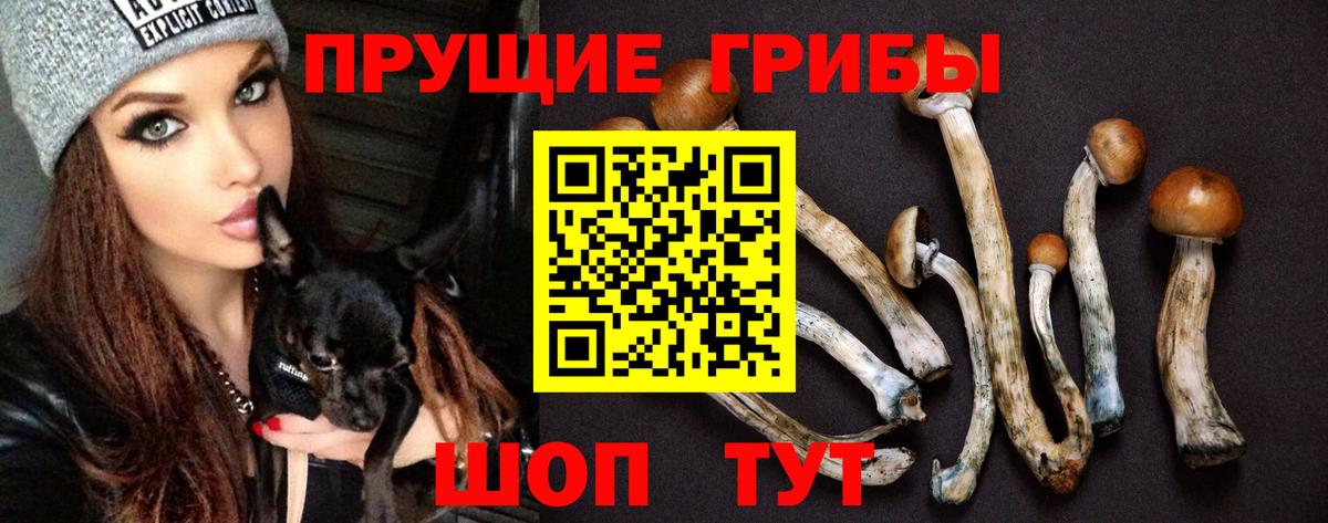 Чебаркуль  Галлюциногенные грибы мицелий  Вход с VPN  Галлюциногенные грибы мухоморы 