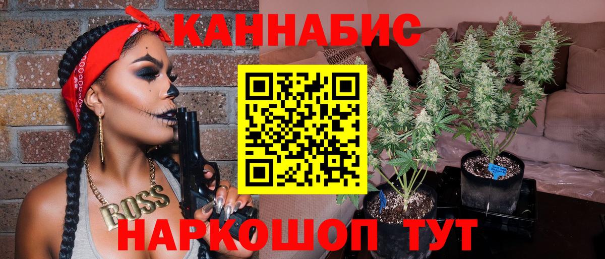 Шишки марихуана семена Чебаркуль
